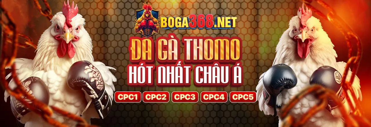 Đá Gà Trực Tuyến Hấp Dẫn tại ip88